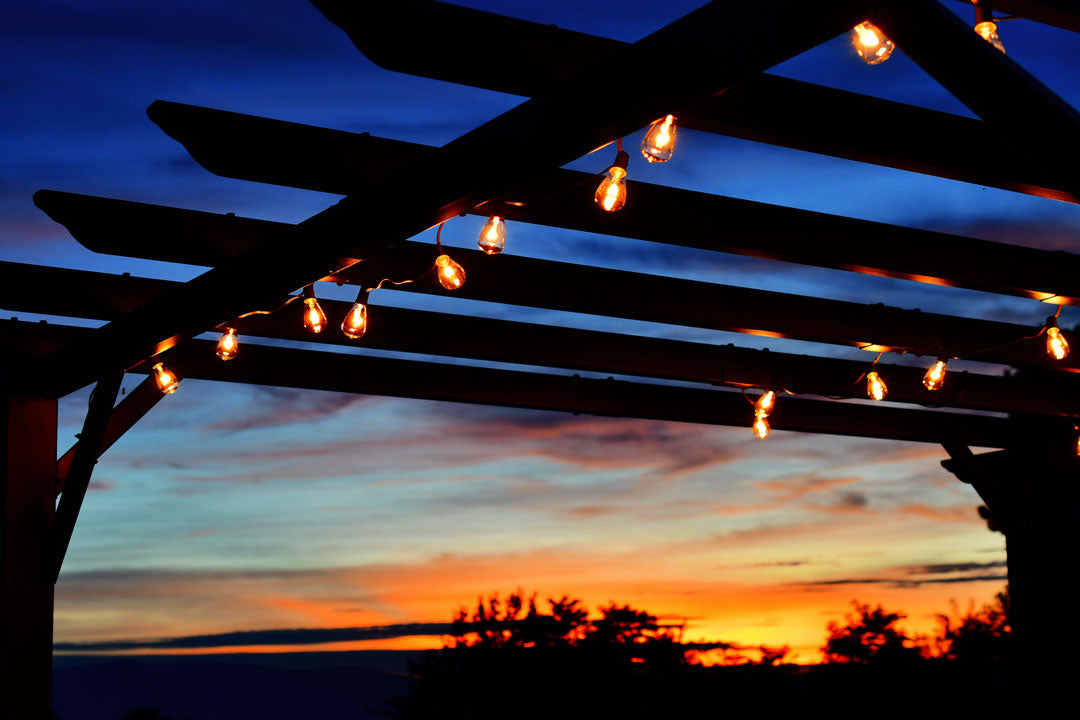 Solar Festoon Lights vs Plug-In Festoon Lights: Which Is Better?