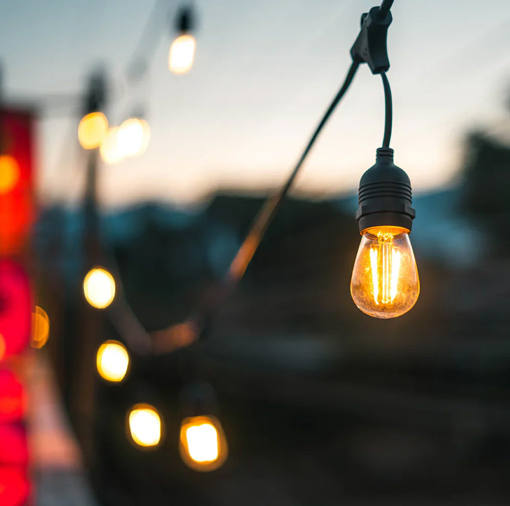 Solar Festoon Lights
